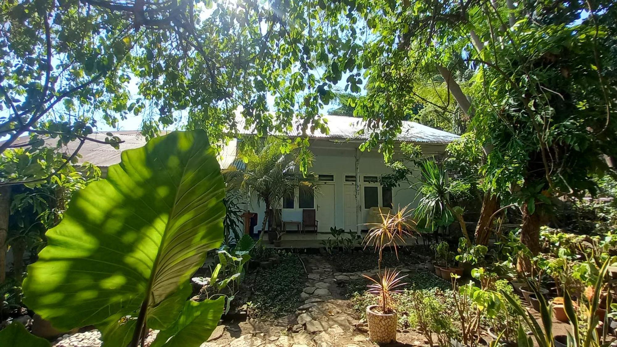 Gasthuis Bajo Labuan Bajo